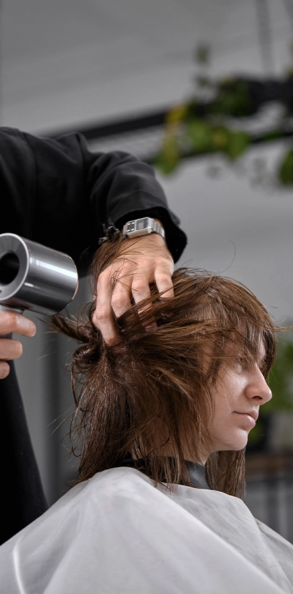 1.BlowDrySetting