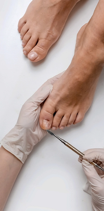 9.Cut-File